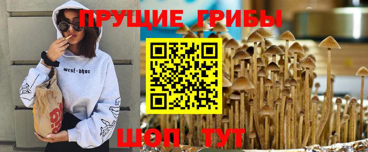 Псилоцибиновые грибы Magic Shrooms  Вход с VPN  Ногинск 